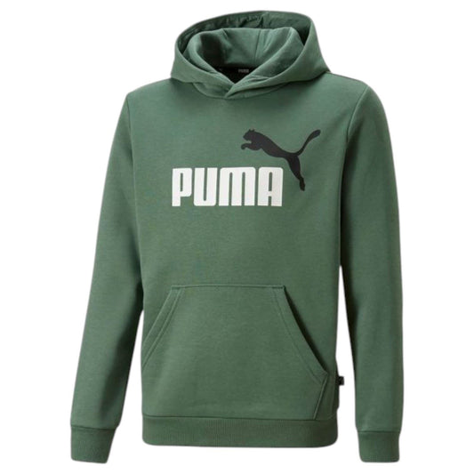 Puma Juniors ESS + 2 Big Logo Hoodie Green